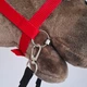 Вуздечка червона для Hobby Horse - аксесуари для хобіхорса коня на палиці хобби хорс - изображение 8
