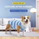 Костюм для восстановления собак WanTalk Striped Recovery Suit, Blue, S - изображение 2