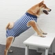 Боди, пижама, послеоперационная попона Derby Fashion Style Stripe XS - изображение 1