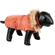 Зимнее пальто для собак со съемным капюшоном Semic Dog Coat Hood Nobby Терракотовый 23 см - изображение 1