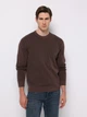 Джемпер мужской Colin's CL1076739BRW L Brown (8684112957739) - изображение 1