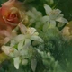 Аромадифузор Dr. Vranjes Giardino di boboli 250 ml Fragranza Collezione (FRV0017C) - зображення 8