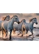 Пазли INTERDRUK тришарові Horses 4, 1000 шт. (384997) - зображення 3