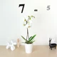 Горщик-кашпо для рослин MBM HOME DH-FLOWERS-29 WHITE білий - зображення 3