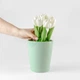 Горшок-кашпо для растений MBM HOME DH-FLOWERS-29 GREEN зеленый - изображение 8