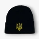 Шапка патриотическая с вышитим золотым трезубом One size Чорная - изображение 2