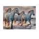 Пазлы Interdruk Wild Horses №4 "Кони на море" 48х67 см 1000 шт (384997) - изображение 3