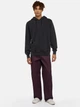 Bluza męska z kapturem kangurka Dickies DK0A866DBLK1 M Czarna - obraz 3