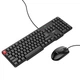 Клавіатура провідна Hoco DI50 (ENG/ РУС) USB 1.5М + Миша дротова 1200DPI комплект для комп'ютера Windows, macOS, Linux Чорний - изображение 1