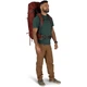 Туристический рюкзак Osprey Aether 65 Acorn Red S/M (009.3999) - изображение 5
