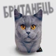 Мягкая игрушка антистресс Британец WONKEY 20см 33108 - изображение 1