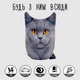 Мягкая игрушка антистресс Британец WONKEY 20см 33108 - изображение 8
