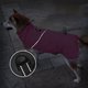 Зимняя куртка для собак Wan Talk High Quality Winter Dog Clothes, Navy Blue, L - изображение 2