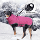 Зимняя куртка для собак Wan Talk High Quality Winter Dog Clothes, Navy Blue, L - изображение 4