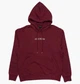 Кофта мужская Jordan Wordmark Fleece Hoodie S Вишневий DV6463-645 - изображение 1