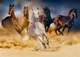 Пазл Коні, що біжать пустелею - Horses Running in the Desert (Enjoy-1356) - зображення 5