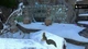 Ice Age Scrats Nutty Adventure (PS5, русские субтитры) - изображение 5