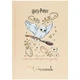 Дневник школьный твердый переплет Kite Harry Potter HP25-262-1, 71199 - изображение 1