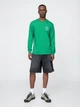 Лонгслив мужской GAP 330957701 XL Зеленый (1159847976) - изображение 3