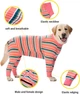 Пижама/попона для собак MIAODODO D15 Pink Stripes, XS - изображение 4