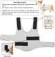 Успокаивающий жилет для собак WanTalk Dog Anxiety Jacket, Light Grey, M - изображение 5