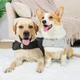 Успокаивающий жилет для собак WanTalk Dog Anxiety Jacket, Light Grey, M - изображение 8