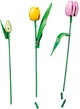 Zestaw klocków LEGO Botanicals Bukiet tulipanów 576 elementów (11501) - obraz 4