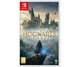 Игра Hogwarts Legacy Nintendo Switch (русские субтитры) - изображение 1