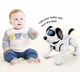 Собака робот інтерактивна KOOQI BOW-WOW іграшка яка програмується біла розмовляє на англійській 0087 - зображення 7