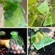 Сетка-мешочки из нейлона для плодов на деревьях 30×20 см, светло-зеленый набор 10 шт. U9542 - изображение 6