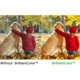 Проектор Vivitek DX335ST короткофокусный 1024x768 XGA 3800lm / 16W - изображение 6