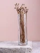 Ваза для цветов Pasabahce Botanica 43767-6 (26.5см) - изображение 3