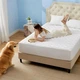 Наматрасник MirSon Exclusive Line Native Cotton №5011 80x190 см (2200008257330) - изображение 4