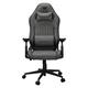 Крісло для геймерів Cougar Explore Royal F Gray - изображение 1