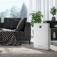 Очисник повітря Olimpia Splendid Aura Di (OS-99426) ( 6.9 кг ) 39666 - изображение 5