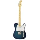 Электрогитара FGN Neo Classic See-Thru Blue Burst (NTE100MAH-SBB) - изображение 1