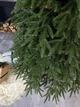 Искусственная литая елка Флорена высотой 1.7 м пышная долговечная новогодняя елка с густыми ветвями и металлической подставкой для дома Зеленый - изображение 2