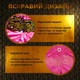 Тайские шорты для кикбоксинга мма муай тай тайского бокса смешанных единоборств бойцовские дышащие из полиэстера Univerza Розовые 4_1_M_2B - изображение 6