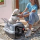 Переноска для котів та собак Ferplast Atlas Deluxe Open 10 34х50.7х30 см max 5 кг Сіра (73038899) - зображення 4