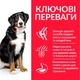 Сухой корм для собак Hills Science Plan Canine Adult Large Breed Lamb&Rice Ягненок и Рис для крупных пород 14 кг - изображение 2