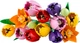 Конструктор LEGO Botanicals Букет тюльпанов 576 деталей (11501) - изображение 2