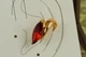 Серьги каффы Xuping Jewelry Красный маркиз на ушной хрящ 1,7 см золотистые - изображение 1