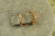 Серьги Xuping Jewelry колечки граненые 11 мм золотистые - изображение 1