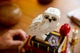 Конструктор LEGO Harry Potter Философский камень. Коллекционный набор 1571 деталь (76466) - изображение 9