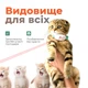 Іграшка для котів іграшка для собак лазер для кота інтерактивна іграшка нашийник з лазером зелений Kayfovo KKZ-75 - зображення 4