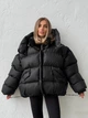 Жіноча зимова куртка TRANSFORMER з капюшоном Milirud XS/M Чорний (488-489-ONESIZE) - изображение 1