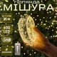 Гірлянда Мішура 20 м 600 LED, зелений провід USB, Пульт, теплий білий (жовтий) - зображення 1