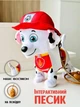 Мягкая интерактивная игрушка Paw Patrol Маршал на поводке Щенячий Патруль ходит, поет, машет хвостиком - изображение 1