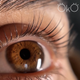Набір складів OKO Lash&Brow для ламінування вій і брів - изображение 8