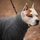 Одежда Noble Pet Hunter Grey - комбинезон для собак M (T4145/M) - изображение 3